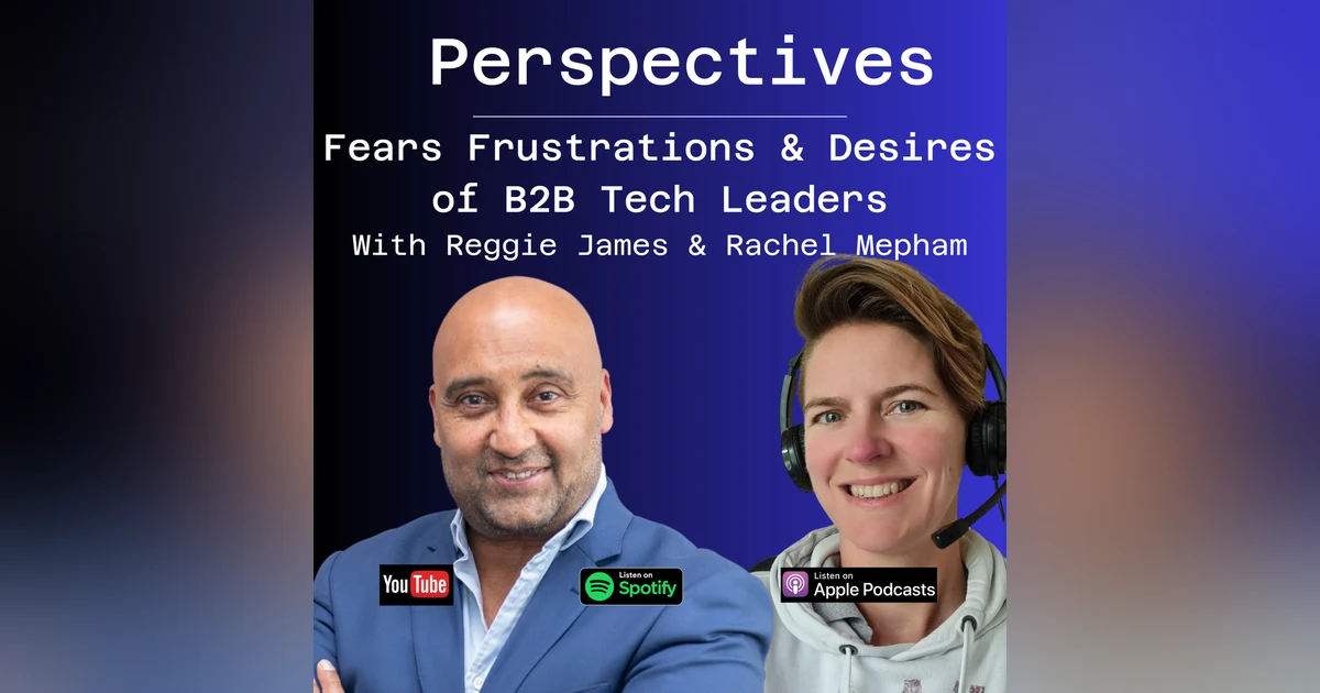 Fears, Frustrations and Desires of B2B Tech Leaders