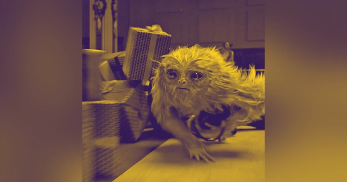He's A Mumbler: Fantastic Beasts and Where to Find Them