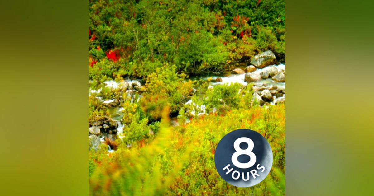 Stream & Bird Sounds for Relaxation 8 Hours | Nature Ambience