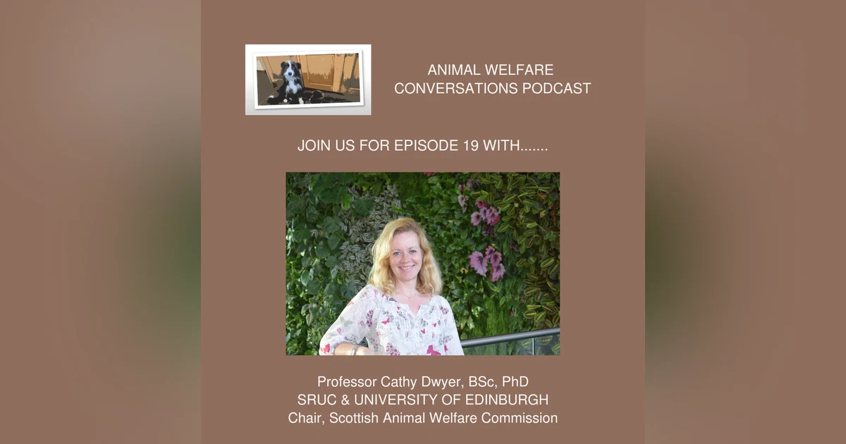 Episode 19: Prof Cathy Dwyer - Using the Evidence to Support Animal Welfare