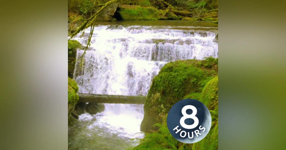 Calming Forest 8 Hours Waterfall White Noise for Sleep, Studying or Stress Relief