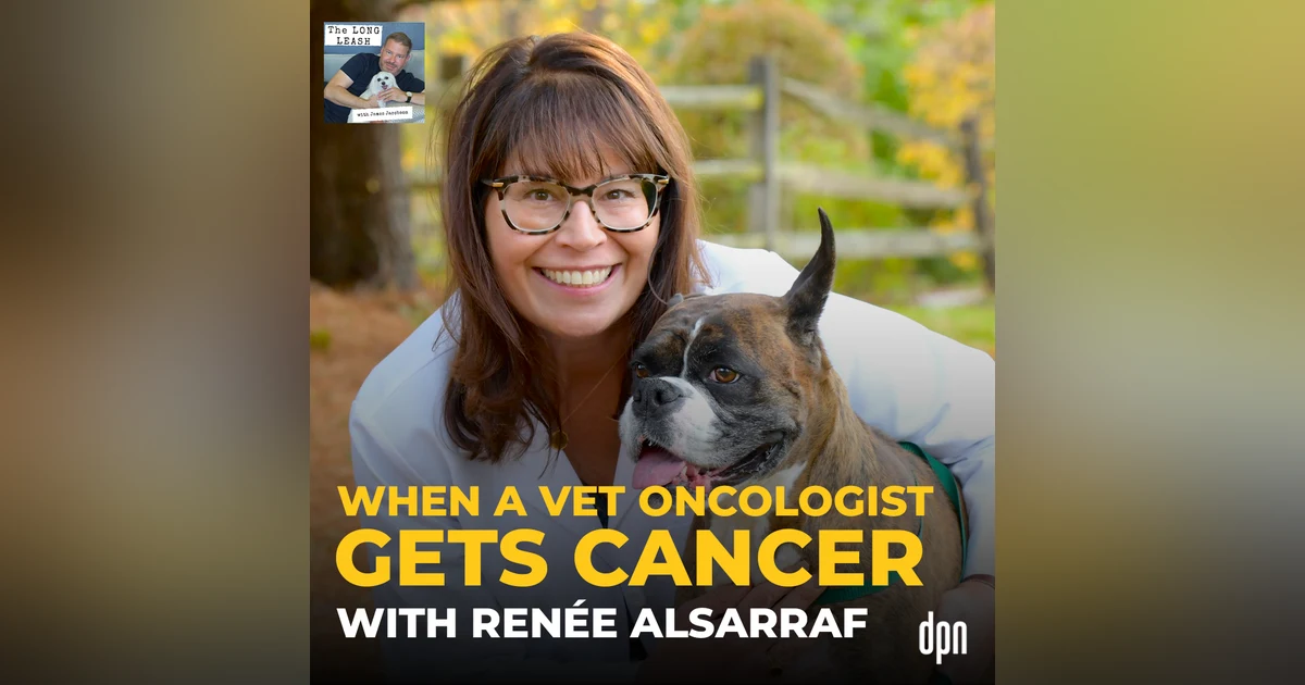 When a Vet Oncologist Gets Cancer with Dr. Renée Alsarraf | The Long Leash #67