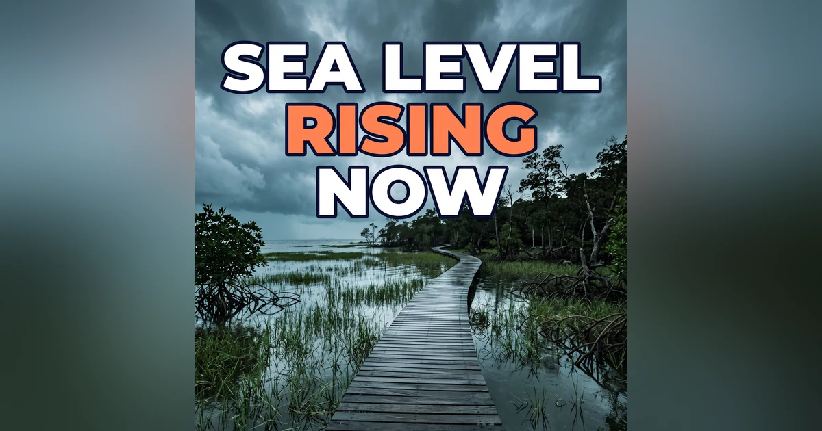 Millimeters That Matter: The Sea Level Rise Threshold Coastal Wetlands Can't Survive
