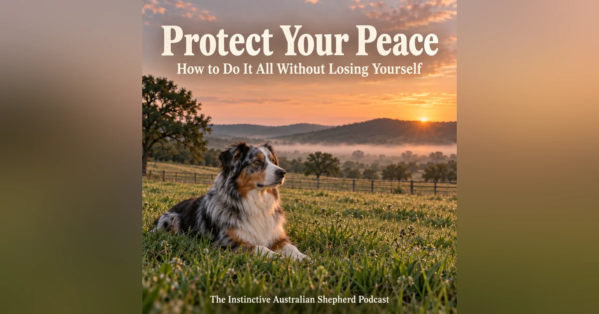 Protect Your Peace: How I Do It All Without Losing Myself- Most of the Time!