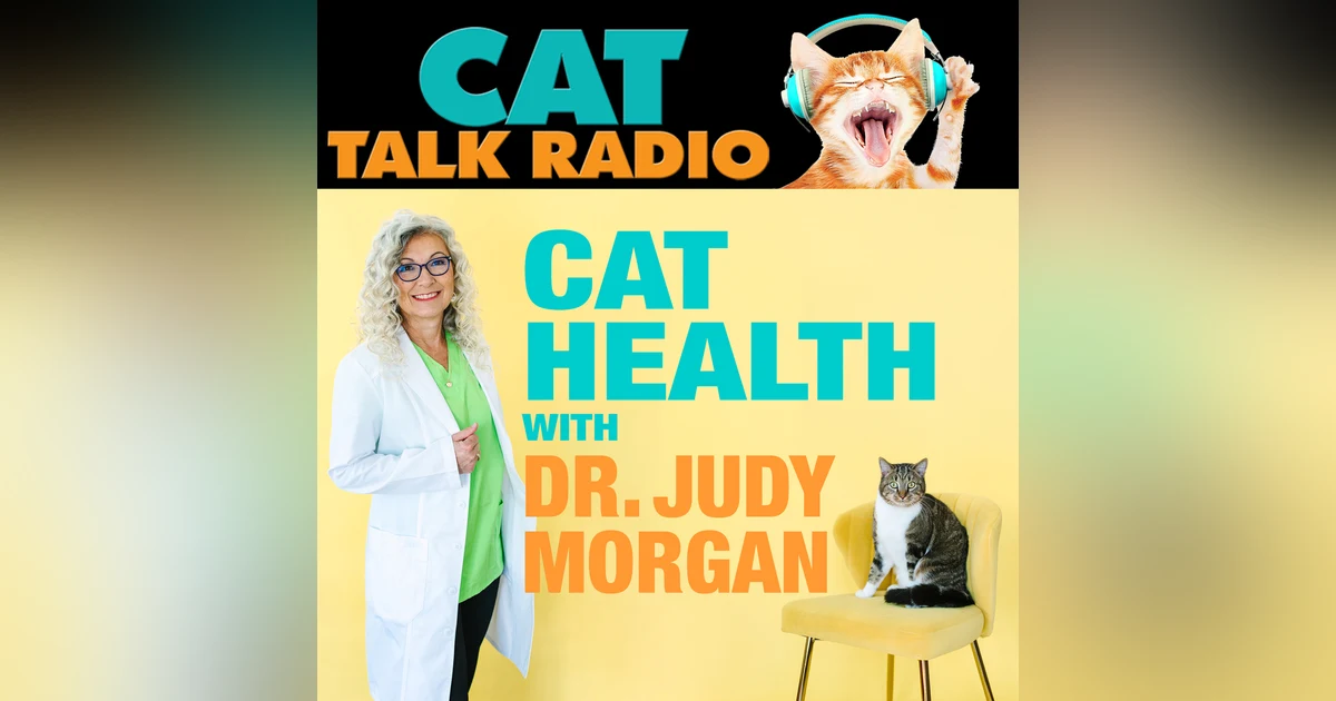 When Wellness Goes Wrong: Rethinking Cat Care with Dr. Judy Morgan