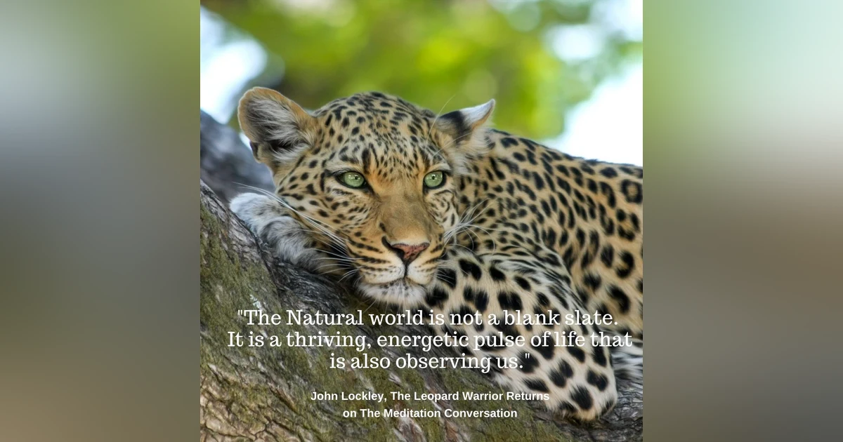 055. John Lockley - The Leopard Warrior Returns