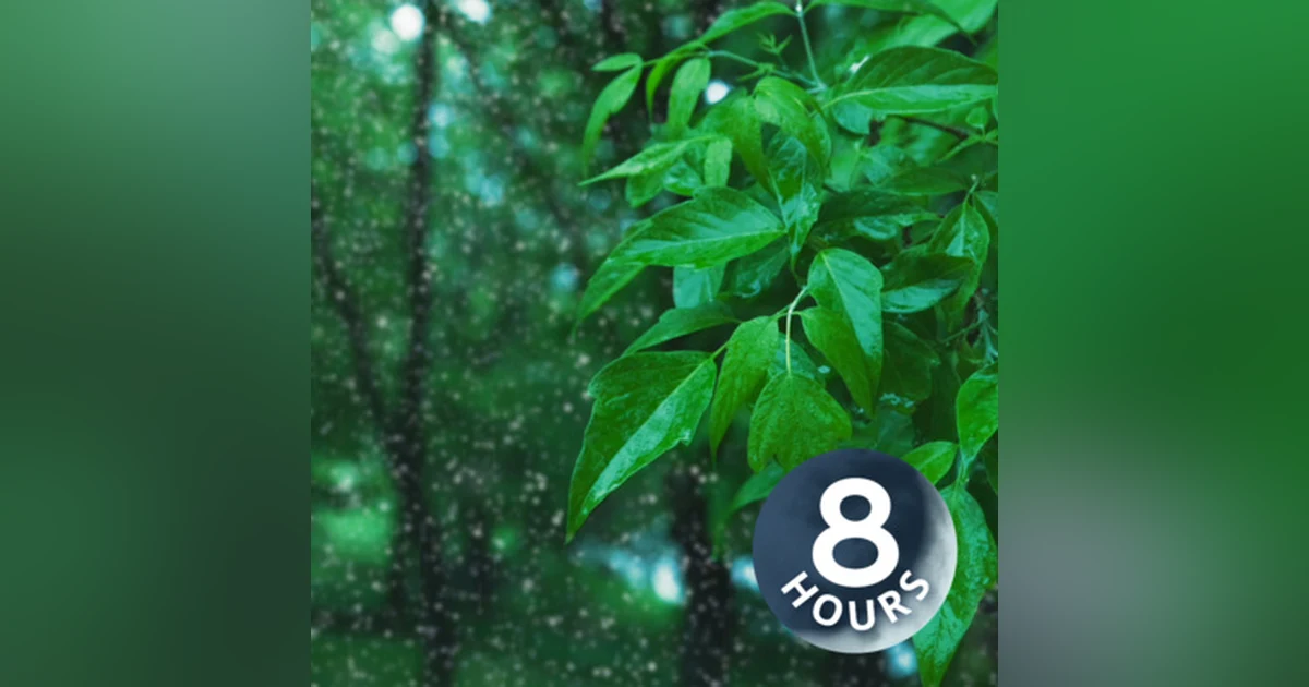 Sleep to Rainstorm in a Park | 8 Hour Rain White Noise