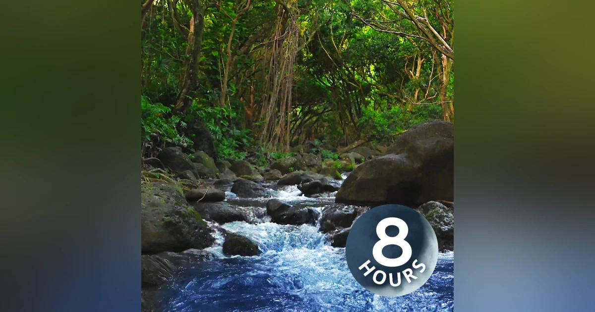 Water Sounds for Studying, Relaxation or Sleep | 8 Hours Soothing Stream Through Forest