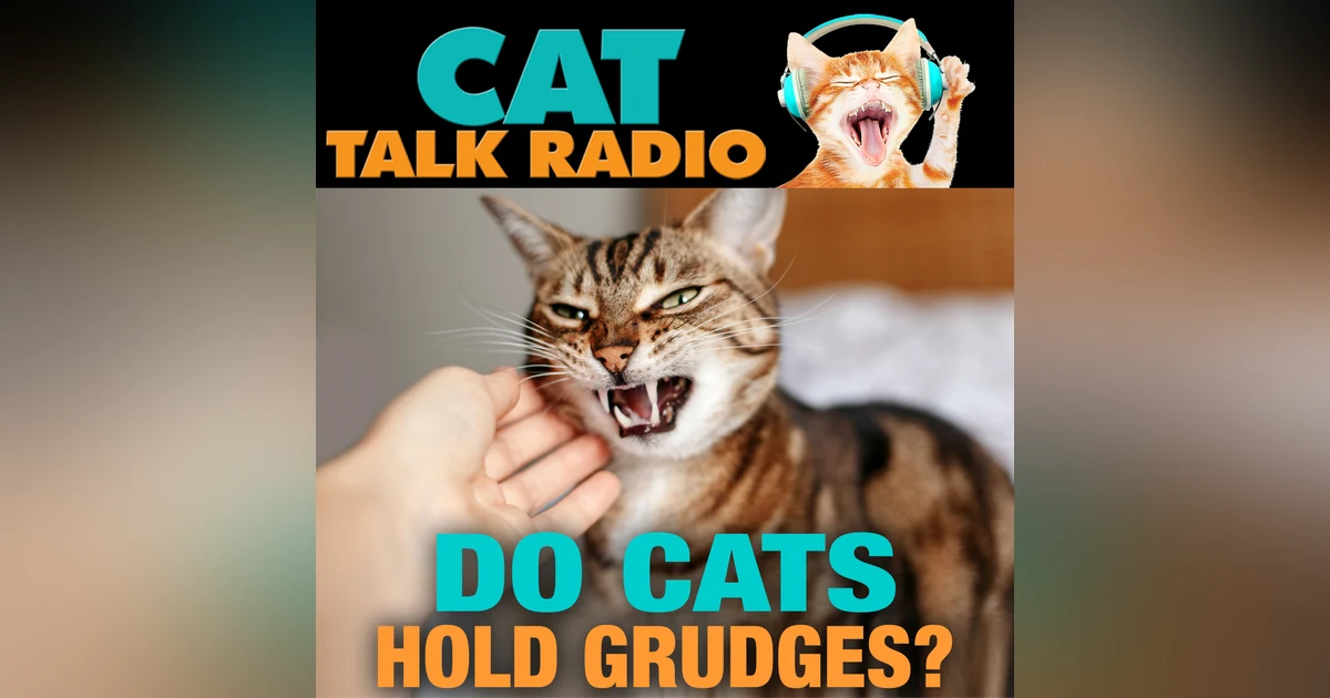 Do Cats Hold Grudges?