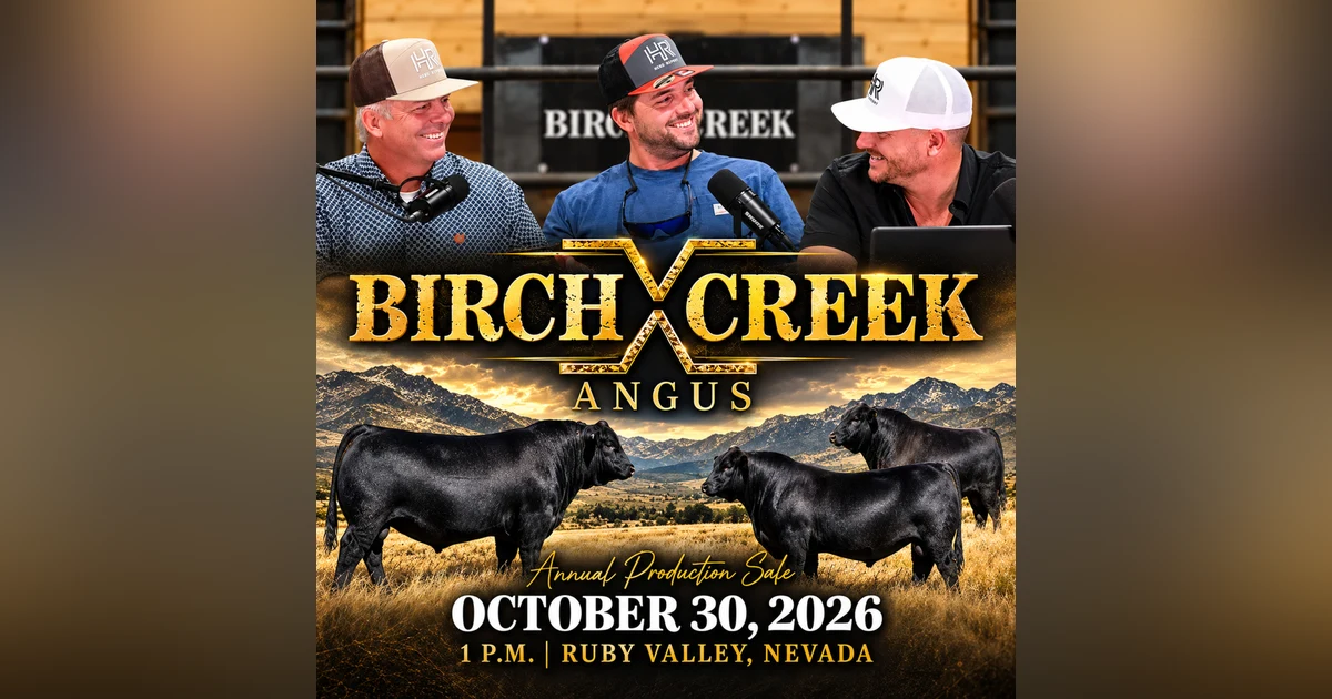 Birch Creek Bull & Female Offering 2026