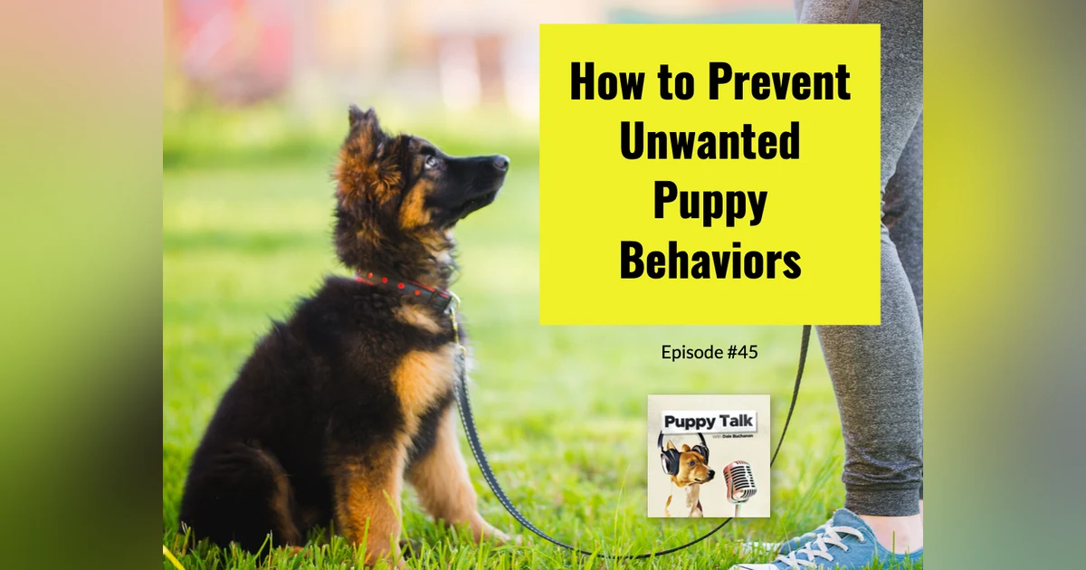 How to Prevent Unwanted Puppy Behaviors